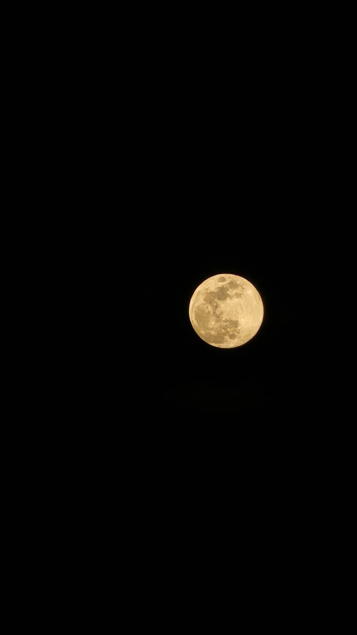 🌙